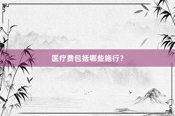 医疗费包括哪些施行？