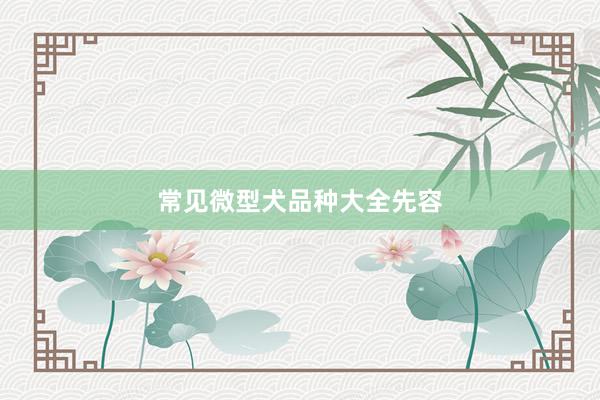 常见微型犬品种大全先容